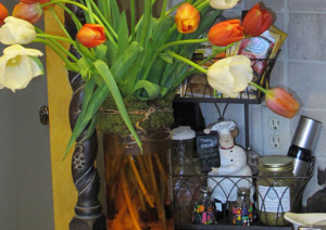 Beautiful March flowers