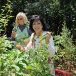 Mary Beth and Kate picking okra