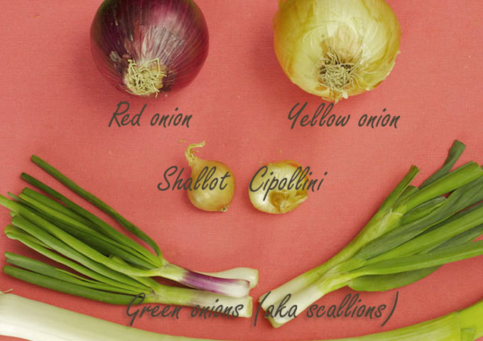Basics, The Onion Family