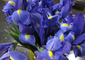 Random Flower Facts