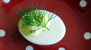 1. Sprig of fennel