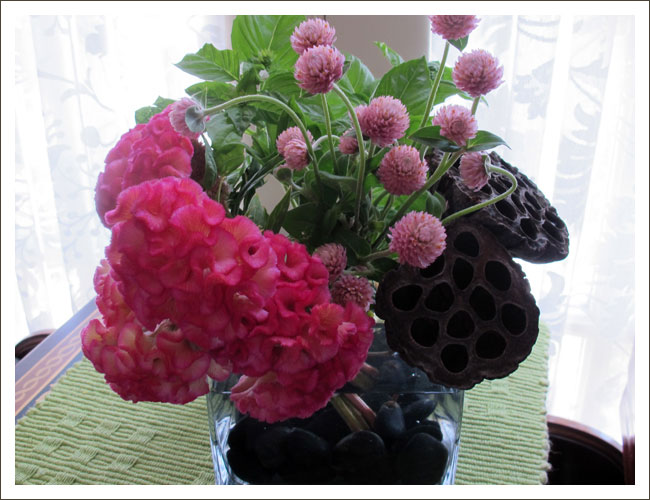 Pink cockscomb with lotus pods