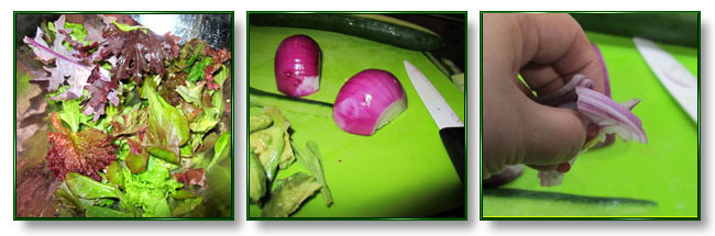 Salad in Cucumber Roll Step 2