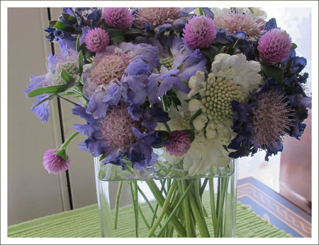 Scabiosa with thistles