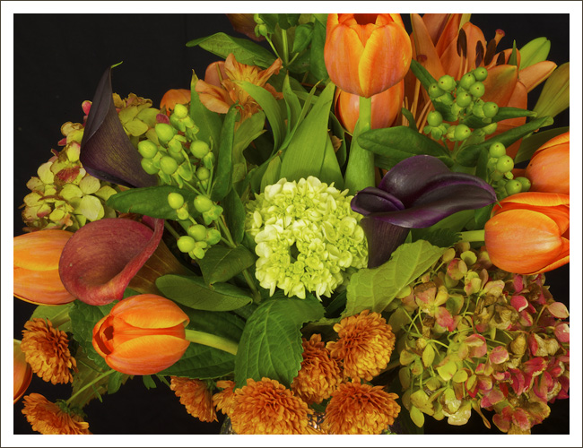 Tulips and Calla Lilies